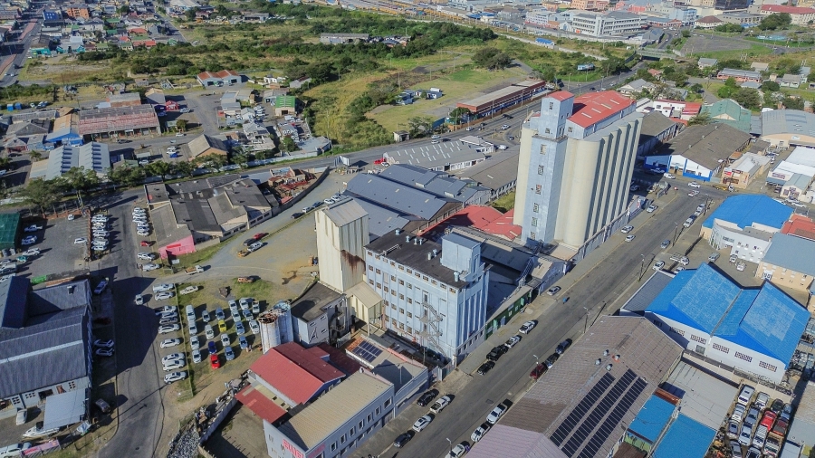 Commercial Property for Sale in Arcadia Eastern Cape